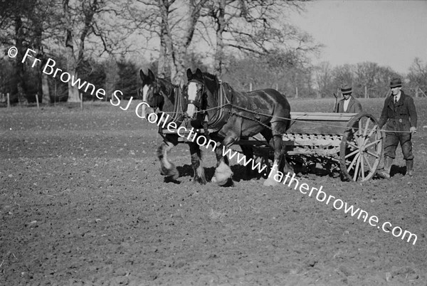 SOWING WINTER WHEAT MACHINE